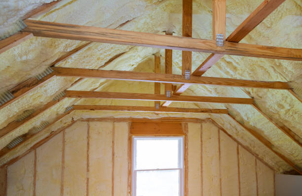 Best Blown-in Insulation in Diamond Ridge, AK