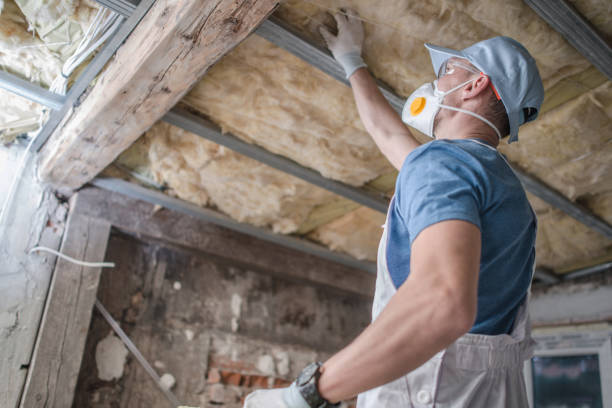 Best Spray Foam Insulation in Diamond Ridge, AK