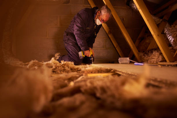 Types of Insulation We Offer in Diamond Ridge, AK