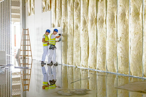 Best Energy Efficiency Insulation in Diamond Ridge, AK